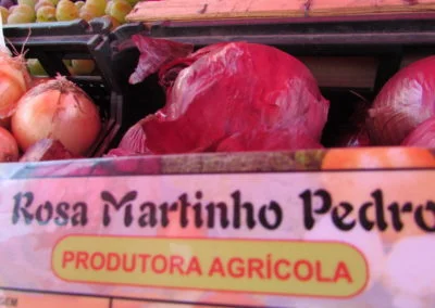 11 Rosa Martinho