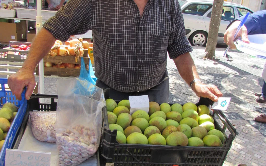 06v Armindo Rosário Marques